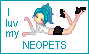 I love my Neopets